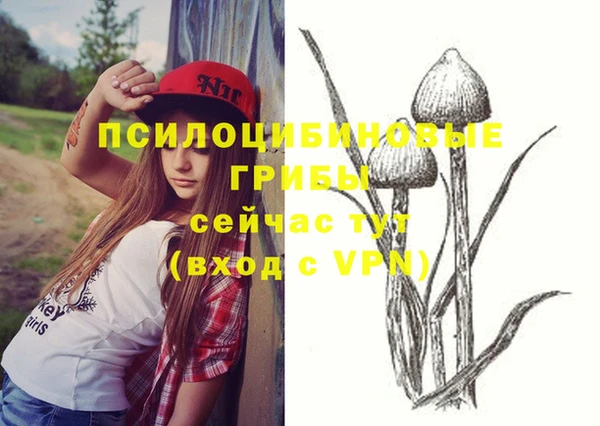 скорость Горняк