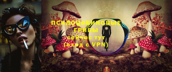 скорость Горняк
