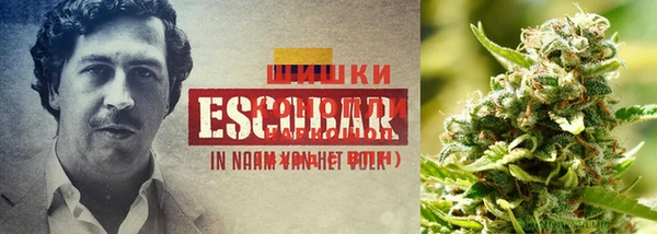 каннабис Горнозаводск